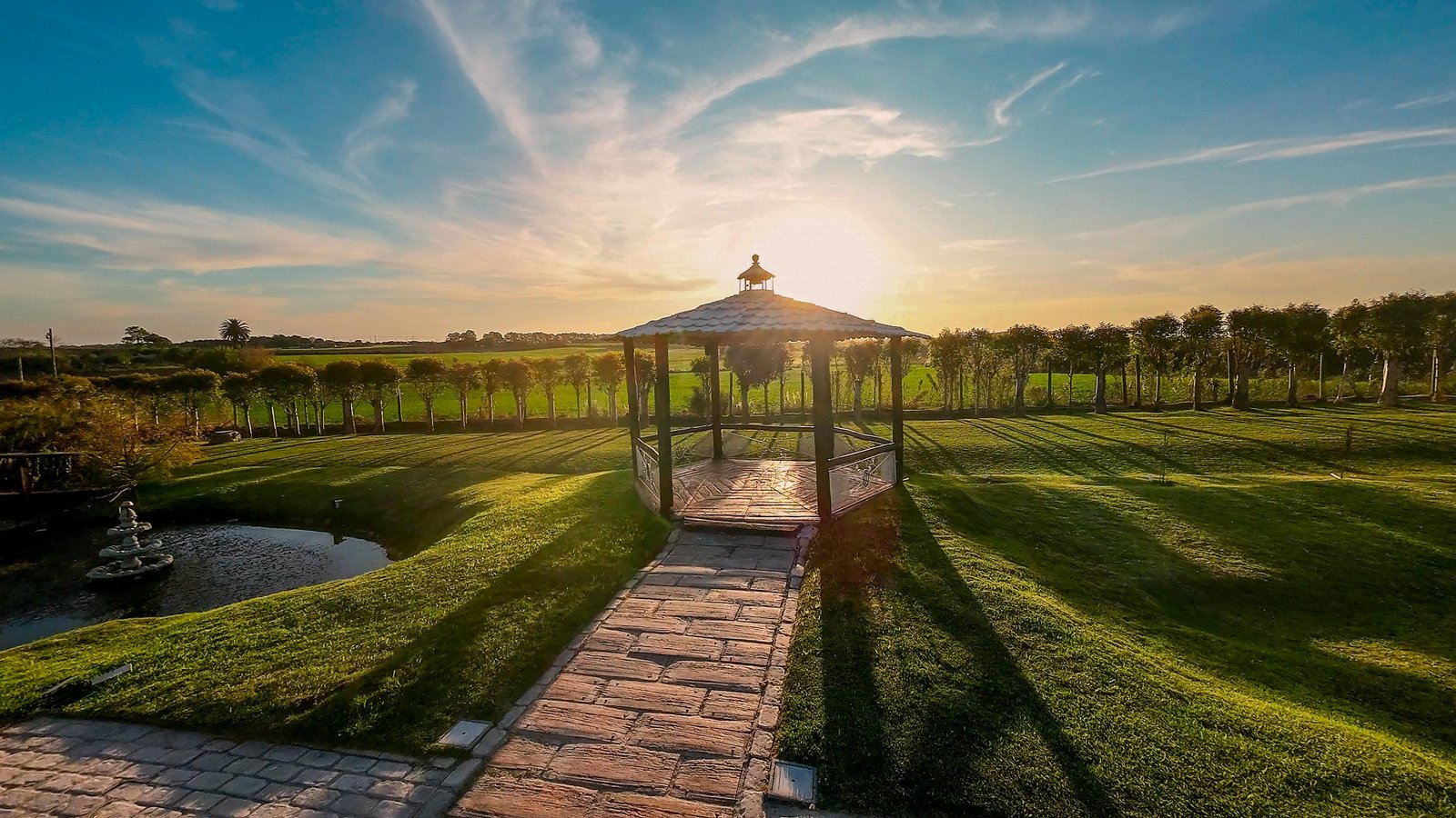 Niños interactuando con animales de granja